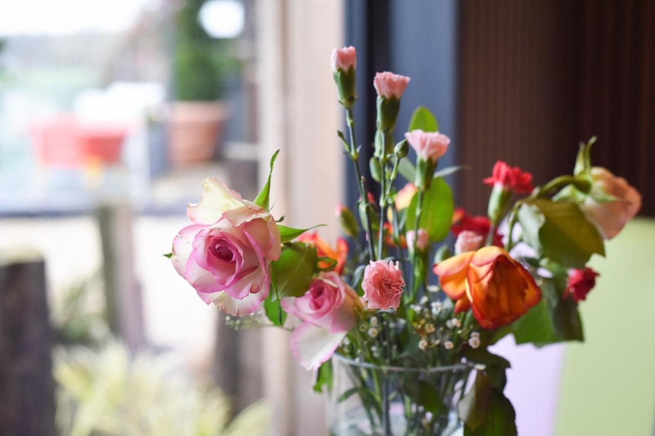 Air Maison - The Cow Shed Wow Factor Countryside Retreat Westbourne  エクステリア 写真