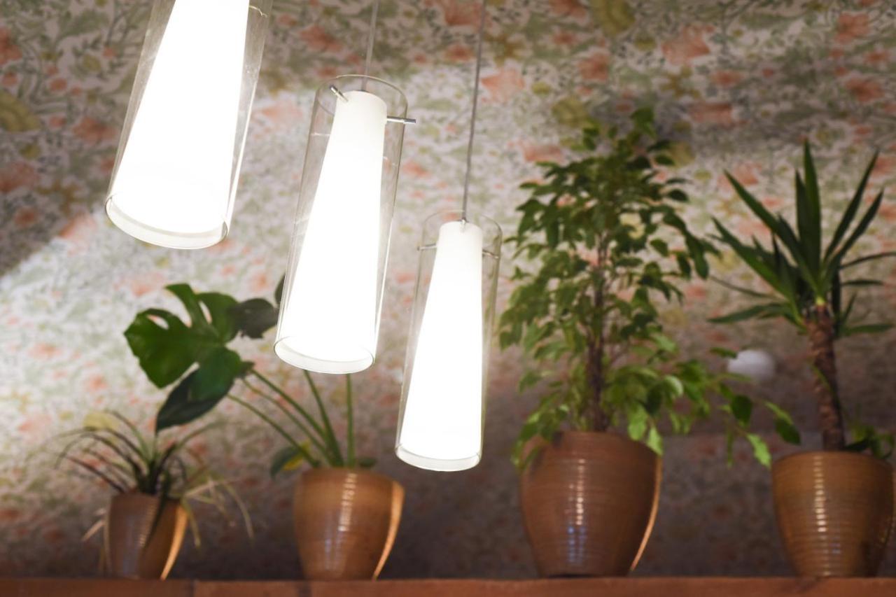 Air Maison - The Cow Shed Wow Factor Countryside Retreat Westbourne  エクステリア 写真