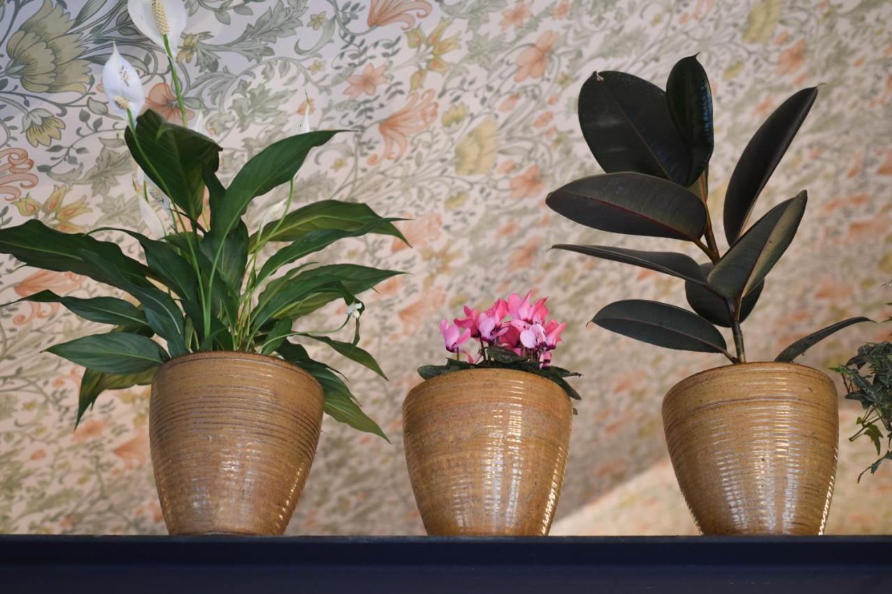 Air Maison - The Cow Shed Wow Factor Countryside Retreat Westbourne  エクステリア 写真